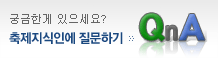 축제지식인에 질문하기