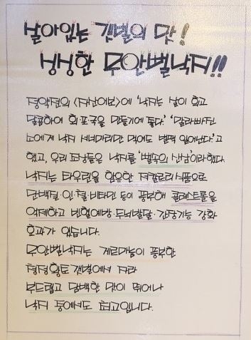 http://old.mirk.es.kr/upfile/img/2016/01/niceman_1453038731.jpg