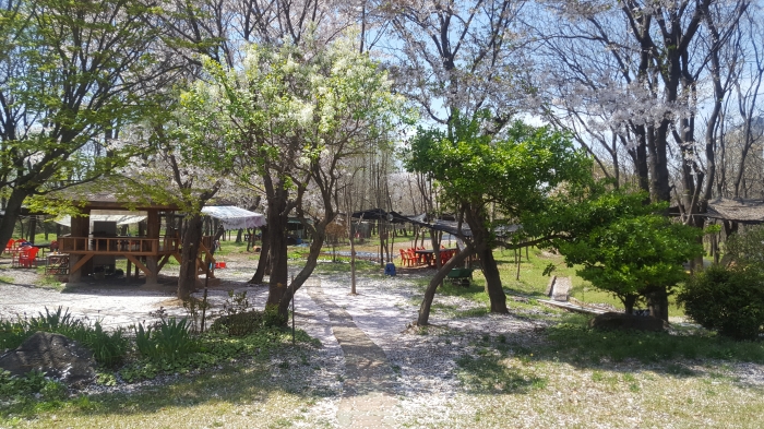 http://old.mirk.es.kr/upfile/img/2017/04/admin_1492587569.jpg