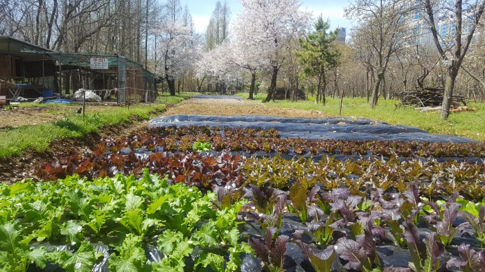 http://old.mirk.es.kr/upfile/img/2017/04/admin_1492587749.jpg