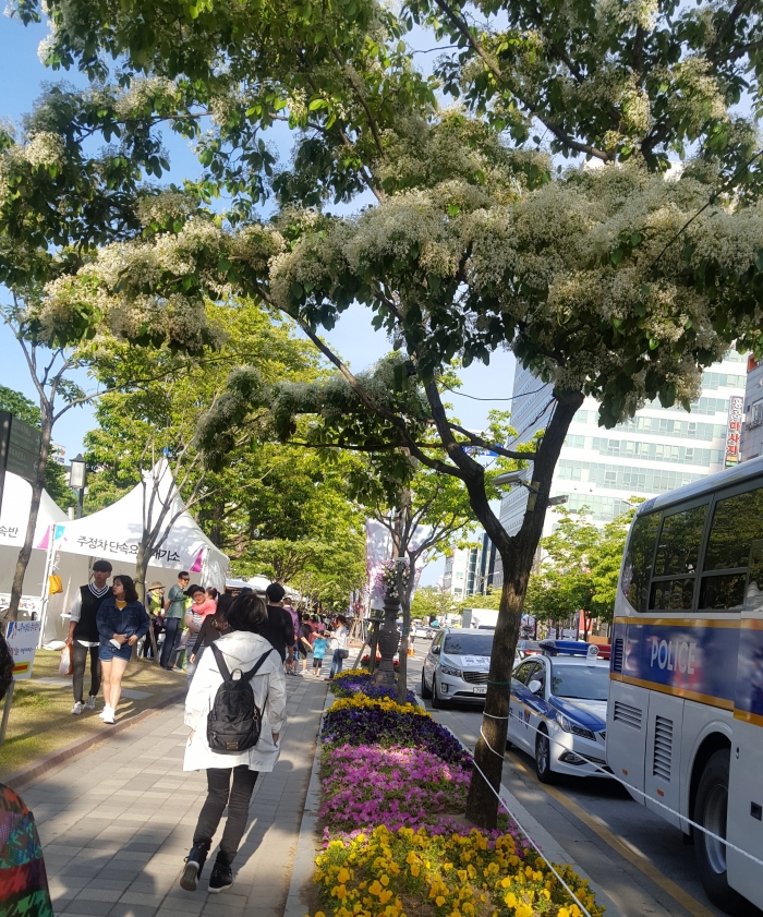 http://old.mirk.es.kr/upfile/img/2017/05/toucontre0604_1494818925.jpg