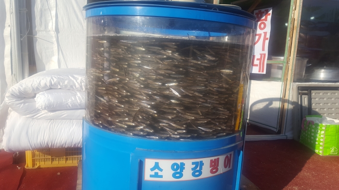 http://old.mirk.es.kr/upfile/img/2019/01/0ju2012_1548768988.jpg
