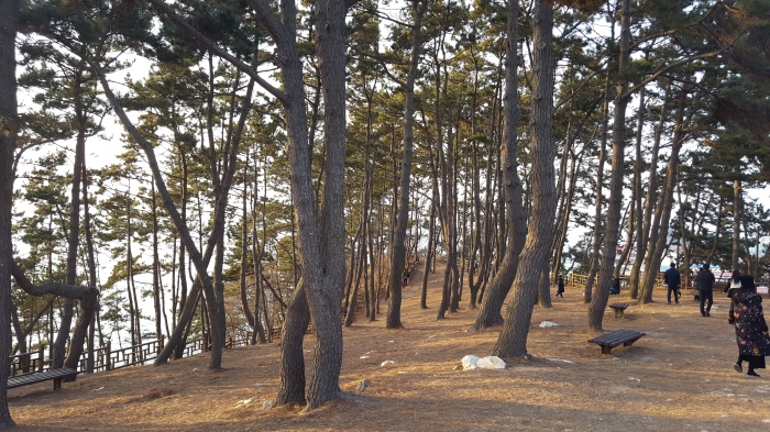 http://old.mirk.es.kr/upfile/img/2019/03/0ju2012_1552835041.jpg