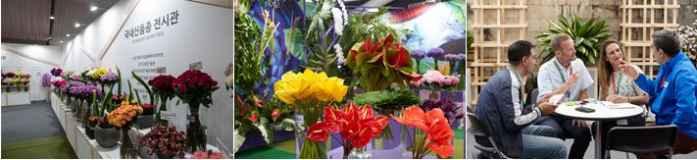 http://old.mirk.es.kr/upfile/img/2022/03/opensunday_1648686157.jpg